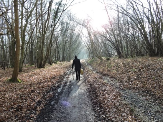 The Last Song Album Cover photo - 30.12.14