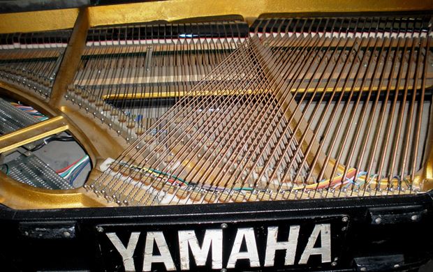Yamaha