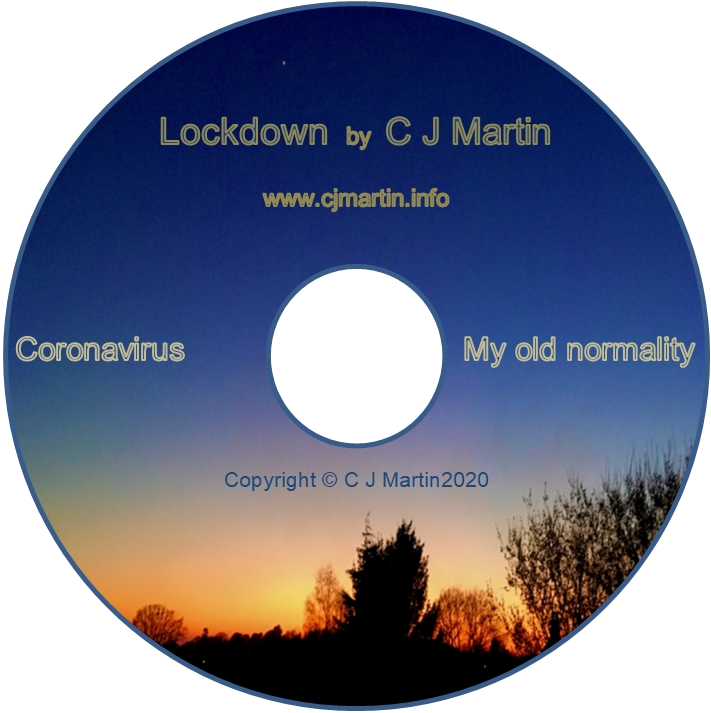 Lockdown Single