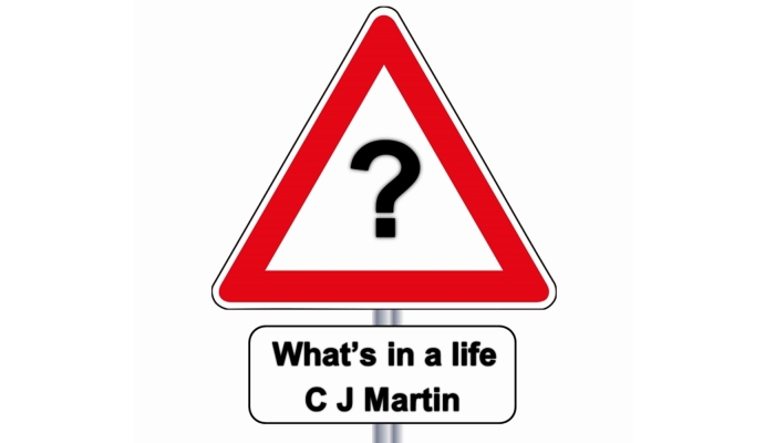 What's in a life