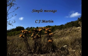 Simple message